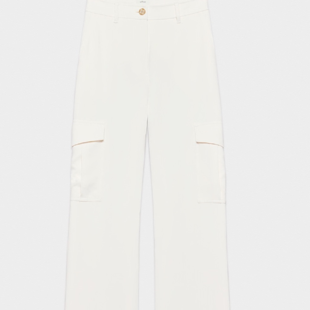 Aritzia Wilfred Bridger Cargo Pants